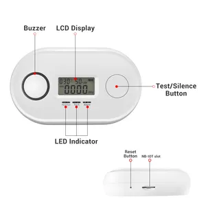 OEM ODM EN50291认证无线WiFi一氧化碳检测报警器，带发光二极管显示器10锂电池电源