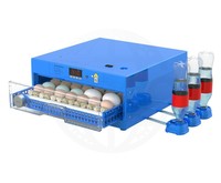 Nouvel incubateur électrique entièrement automatique 12V DC 110V/220V AC, taux d'éclosion de 98%, double alimentation, 36 œufs, en PP, pour canards, oies et poulets