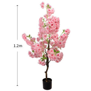 La encantadora elegancia de los árboles de flor de cerezo - Product Image 6