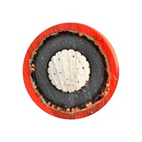 18/30 KV Einadriges 70mm2 95mm2 120mm2 RHZ1-OL H16 XLPE-Isoliertes CWS-Abschirmungs-Aluminium-Elektrokabel