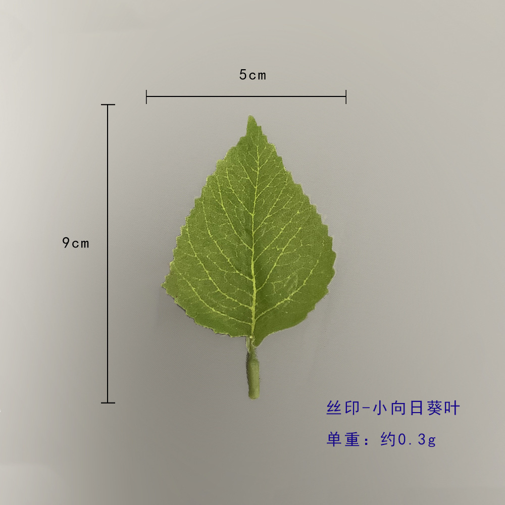 Petite feuille de tournesol