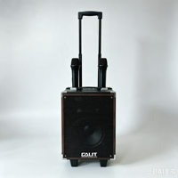 Valise mobile rétro de 8 pouces avec haut-parleurs tweeter de 1 pouce, compatible avec un microphone sans fil
