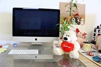 Ours en peluche personnalisé avec message en forme de cœur, 100% polyester, ours Sophie unisexe, 14 ans, vente en gros, Noël