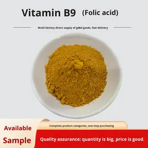 Vitamina B9 en Polvo de Grado Alimenticio al Mejor Precio, Suplemento Natural de Ácido Fólico, Materia Prima Natural, CAS 59-30-3 - Product Image 3