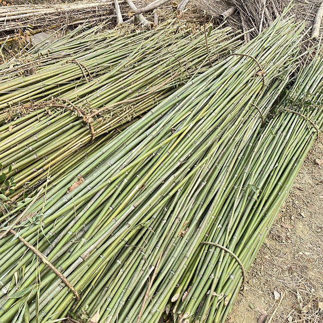 Продукция из натурального бамбука Dashan изысканно сделанная и качественная бамбуковая продукция moso от производителя