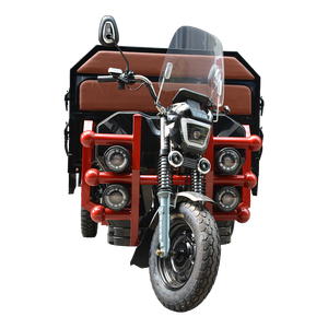 2025 Mô Hình Mới 600W 1000W 3 Bánh Xe Khung Thép 60V Xe Đạp Vận Chuyển Hành Khách 48V Điện Áp Điện Ba Bánh - Product Image 3