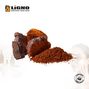 ผงชากา LiGNO CG06 จากมาเลเซีย ยอดขายอันดับหนึ่ง ได้รับการรับรองฮาลาลและโคเชอร์ เกรดอาหารเสริม รับผลิตแบบ OEM ODM - Product Image 1