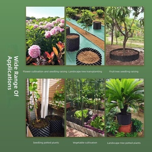 Dispositivo Especializado para el Control de Raíces en la Plantación de Árboles - Placa de Contención para Árboles <span class=keywords><strong>Frutales</strong></span> - Drenaje para <span class=keywords><strong>Bonsáis</strong></span> - 600 Gramos - Product Image 4