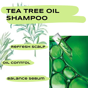 Kit de Soins Capillaires au Théier Marque Blanche : <span class=keywords><strong>Shampoing</strong></span>, Après-<span class=keywords><strong>Shampoing</strong></span>, Soin du <span class=keywords><strong>Cuir</strong></span> <span class=keywords><strong>Chevelu</strong></span> Sans Rinçage – Idéal Salons, Emballage Personnalisé, Fabrication OEM - Product Image 4