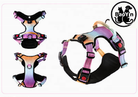 Série Pet Glow Harnais et laisse pour animaux de compagnie à LED |   Collier |   Noeud papillon |   Porte-sac à crottes pour chien, kit de promenade pour chien, accessoires pour animaux de compagnie