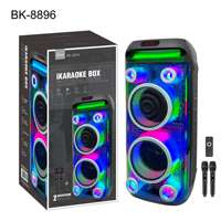 Altavoz de Torre Vertical Transparente de 60W con Bluetooth, Luces RGB Fluidas, Altavoz de Karaoke, Micrófonos Inalámbricos Dobles, Control Remoto, Adaptador de 13.5V 1.5A