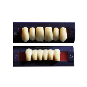 CE Ha Approvato Acrilico Denti In Resina Materiale Tecnico Dentale Per Denti Faccette Enorme Dentale di Produzione con la Garanzia di Qualità - Product Image 5