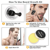 Kit de soin de la barbe pour homme à base d'herbes naturelles en gros sous marque privée, huile de croissance de la barbe, kit de barbe nourrissant et hydratant, certifié MSDS