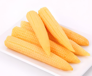 Meilleur choix Maïs sucré en conserve halal casher en sirop 500g pour une alimentation végétale saine à consommer - Product Image 6