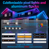 Guirlande lumineuse à points LED pour extérieur, décoration de maison, étanche IP68, 12V 24V 36V, source de lumière ponctuelle