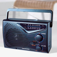 Tragbarer drahtloser BT Lautsprecher batteriebetriebener Ac-Strom Dsp Stecker Am Fm Radio mit bestem Empfang