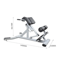 Banc d'hyperextension pour équipement de fitness de chaise romaine d'extension de dos de tube ovale de centre de gymnastique commerciale