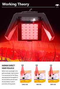 เครื่องบำบัดหนังศีรษะ 7-in-1 แบบแนวตั้ง สำหรับการดูแลเส้นผมและกระตุ้นการเจริญเติบโตของเส้นผม ป้องกันผมร่วง เหมาะสำหรับสปา ซาลอน และคลินิก - Product Image 2