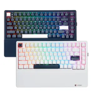 Teclado Hexgears E2 Pro Mecânico Sem Fio Conexão Sem Fio e Tipo C com Fio, Tamanho Completo, LED Azul retroiluminado, Windows e Mac