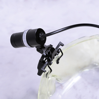 Pinky Leem professionnel UV Lash Light lampe UV pour cils lampe à puissance réglable durcissement rapide éclairer les lunettes fixer aux lunettes UV