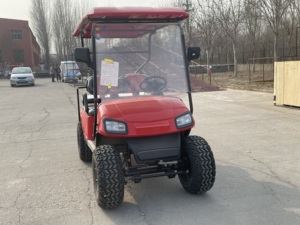 Productos Más Vendidos, Scooter de Golf de 4 Ruedas con Motor de 3000-5000w, Velocidad de 30km/h, 7-8 Asientos, Superventas 2023 - Product Image 2