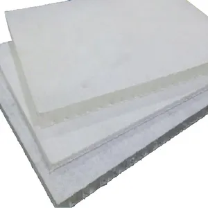 Best Quality Plastic/pp/Polypropylene Honeycomb Core board