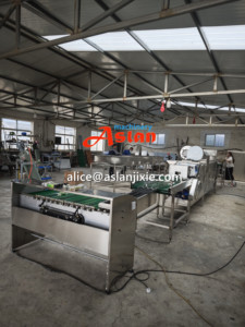 Machine <span class=keywords><strong>de</strong></span> lavage et <span class=keywords><strong>de</strong></span> séchage d'œufs <span class=keywords><strong>de</strong></span> poulet pour usage en élevage avicole / Machine <span class=keywords><strong>de</strong></span> lavage, séchage, inspection et triage des œufs <span class=keywords><strong>de</strong></span> <span class=keywords><strong>canard</strong></span> - Product Image 3