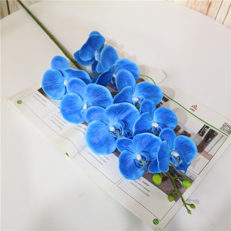 5 # bleu