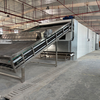Industriële voedseldroger, multifunctionele fruitdroger voor de productie van tropisch fruit