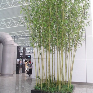 Venta al por mayor <span class=keywords><strong>centro</strong></span> comercial Hotel restaurante decoración Artificial planta varios Artificial plantas de Bambú - Product Image 6