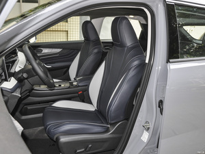 SUV NNissan Venucia coches de gasolina 2023 260T Love Bean Edition Pro - Product Image 4