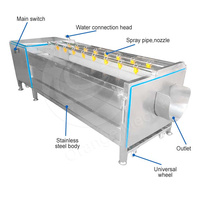 Orme Volautomatische Industriële Schone Wortelgroente, Verse Gemberfruit En Groenten, Wasmachine