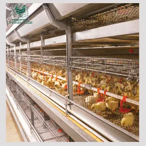 Cage de poulet d'élevage pour bébés poussins à bas prix, chine