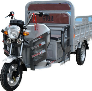 Tricycle électrique 60v Cargo 1000W véhicule de tourisme motorisé certificat CEE utilisation adulte corps en plastique 400kg charge utile fermée - Product Image 2