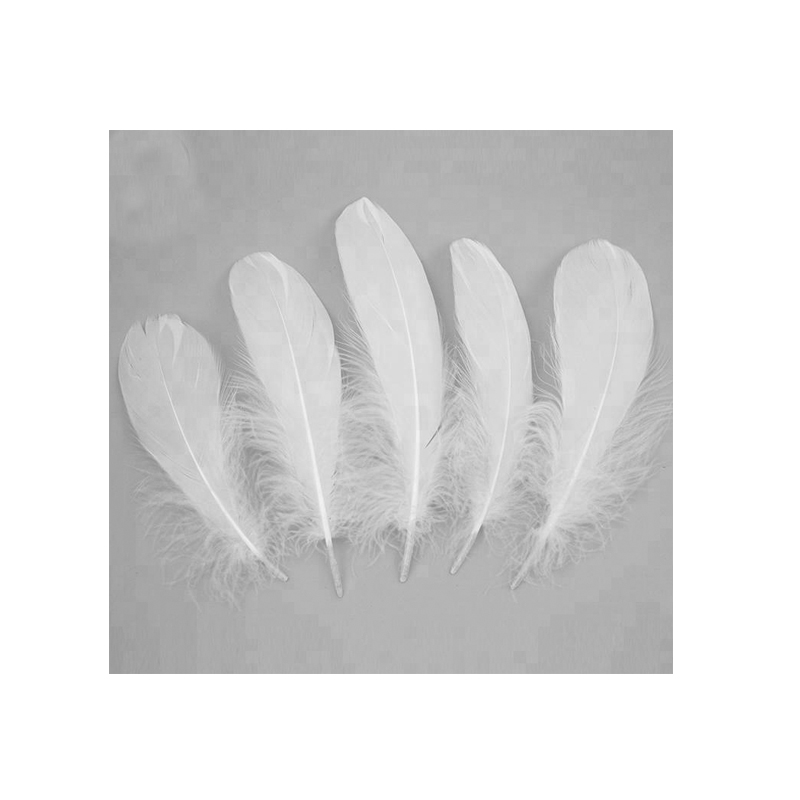 Белое гусиное перо для промывки через границу