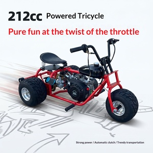 Tricycle tout-terrain à <span class=keywords><strong>moteur</strong></span> essence pour adultes, 3 roues, <span class=keywords><strong>drift</strong></span>, kart de course tout-terrain, plage - Product Image 1