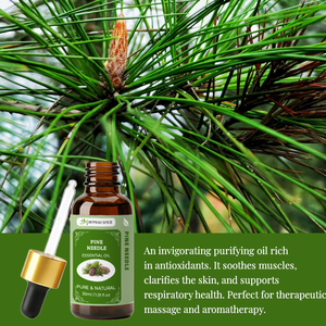 Aceite de Hoja de Pino 100% Puro y Natural, Aceite Aromático con Fragancia a Agujas de Pino para Difusor, Fabricación de Perfumes y Masajes - Product Image 3