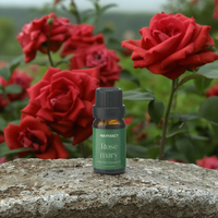 100% organique naturel pur Rose géranium huile essentielle soins de la peau aromathérapie corps Massage éclaircissant effet nourrissant-en vrac