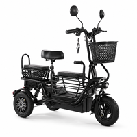 Triciclo Eléctrico de 3 Ruedas para Adultos, 3 Velocidades, Mini Scooter Eléctrico de 10 Pulgadas, Batería de Plomo-Ácido para Desplazamientos Urbanos, Uso con Mascotas y Pasajeros