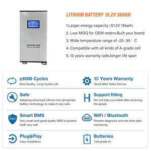 ระบบพลังงานบ้าน 51.2V แบตเตอรี่ลิเธียมไอออน 15kWh 300Ah ระบบกักเก็บพลังงานแสงอาทิตย์ ความจุสูง รับประกัน 10 ปี CAN ความจุสูง - Product Image 2