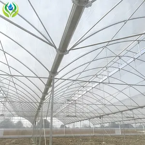 MYXL 성장 시스템 Serre Agricole 대형 필름 멀티 스팬 농업 온실