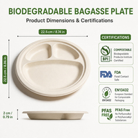Assiettes jetables biodégradables en bagasse, grandes, rondes, à 3 compartiments, résistantes à l'eau, compatibles micro-ondes, pour camping, fête, mariage