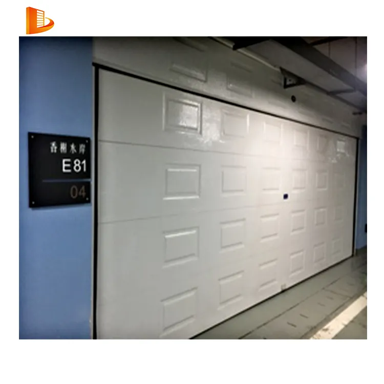 Automatic Open Style garage door for warehouse custom or standard garage door European Style Garage Door