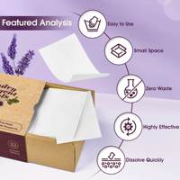 Feuilles de lessive en gros, à base d'enzymes, élimination des taches, emballage écologique et durable, feuille de lessive