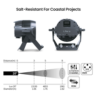 Projecteur PAR LED RGBL en aluminium L PAR12 12*20W IP65 8500Lm, angle de faisceau multiple, DMX512 RDM, pour événements extérieurs, scène, DJ