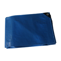 Bâche imperméable enduite de PE, résistante à l'abrasion, 260g, 4x5m, 4x6m, pour couverture de tente, auvent de voiture et marché polonais - Marque DEMENG
