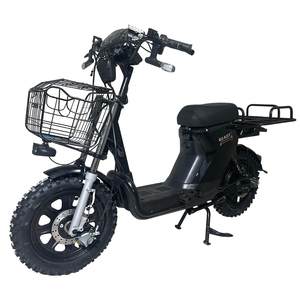 Vendita all'ingrosso esclusiva di motori mozzo posteriore <span class=keywords><strong>da</strong></span> 16 pollici 48V con batterie al piombo-acido per biciclette elettriche a due ruote <span class=keywords><strong>da</strong></span> <span class=keywords><strong>uomo</strong></span> e <span class=keywords><strong>da</strong></span> donna - Direttamente dalla fabbrica - Product Image 6