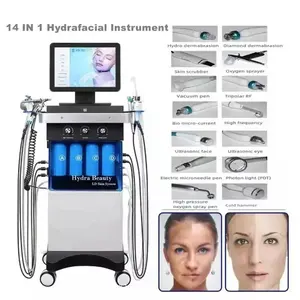 2024 Popular Product 14 In 1 Skin Care Equipment Skin Rejuvenation Oxygen Therapy Hydra Dermabrasion Blackhead Removal Machine