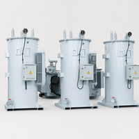 Régulateur de tension monophasé AVR pour système de production électrique industriel Russie Asie du Sud-Est, tension nominale 11 kV, 110 kVA, 100 A