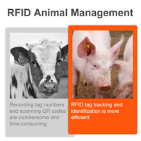 Tag Telinga Elektronik RFID LF 134.2KHz Chip Hewan FDX-B untuk Babi, Sapi, dan Domba
